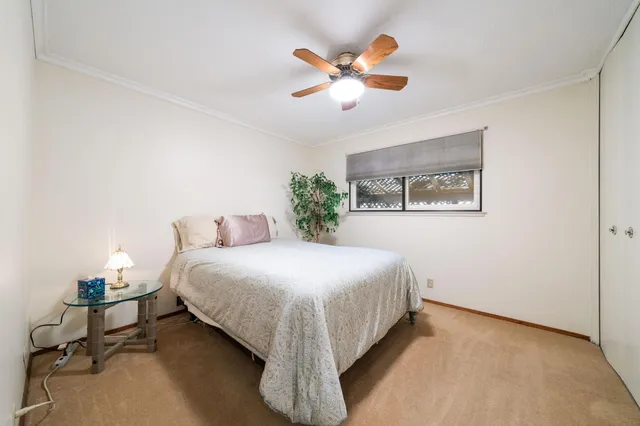 a view of a backyard with potted plants