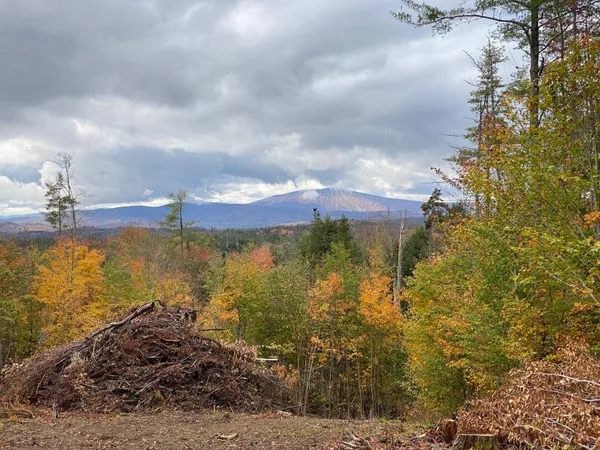 $195,000 | 0 Stoney Brook Road, Londonderry, VT 05148