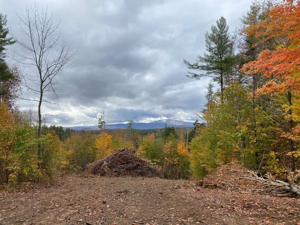 $195,000 | 0 Stoney Brook Road, Londonderry, VT 05148