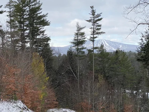 $195,000 | 0 Stoney Brook Road, Londonderry, VT 05148