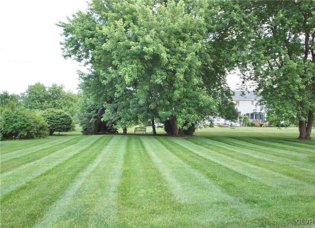 4493 Steuben Road Bethlehem, PA 18020 - Photo 43 of 45 Gorgeous backyard with privacy trees.
