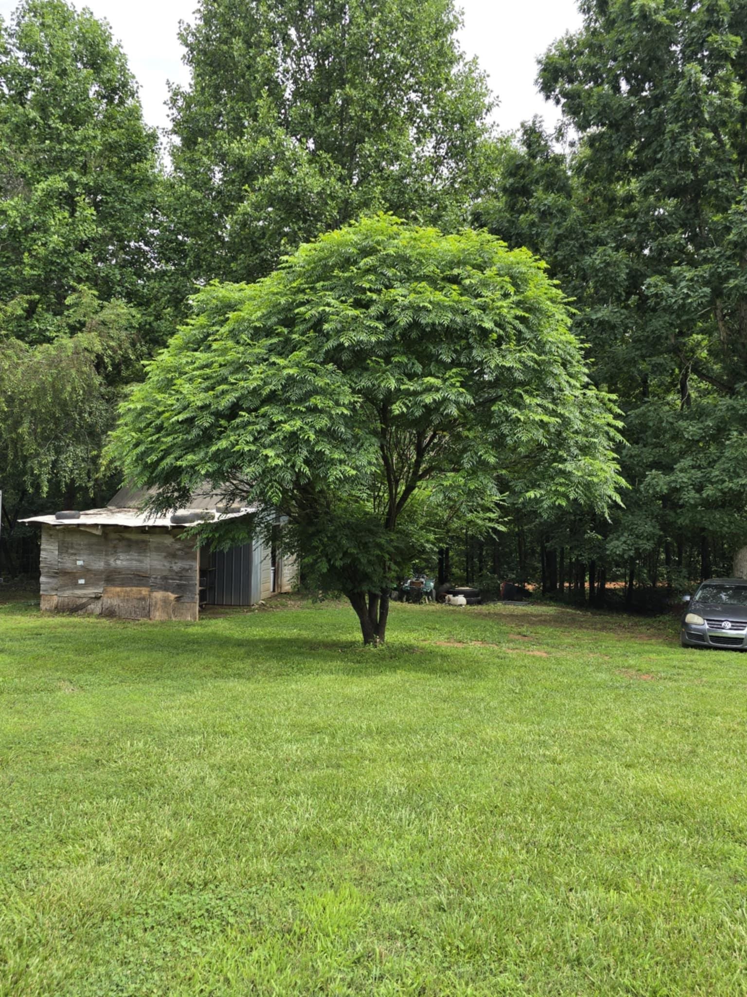 1044 Elliott Road Rutherfordton, NC 28139 - Photo 8 of 27 Gallery Image 8