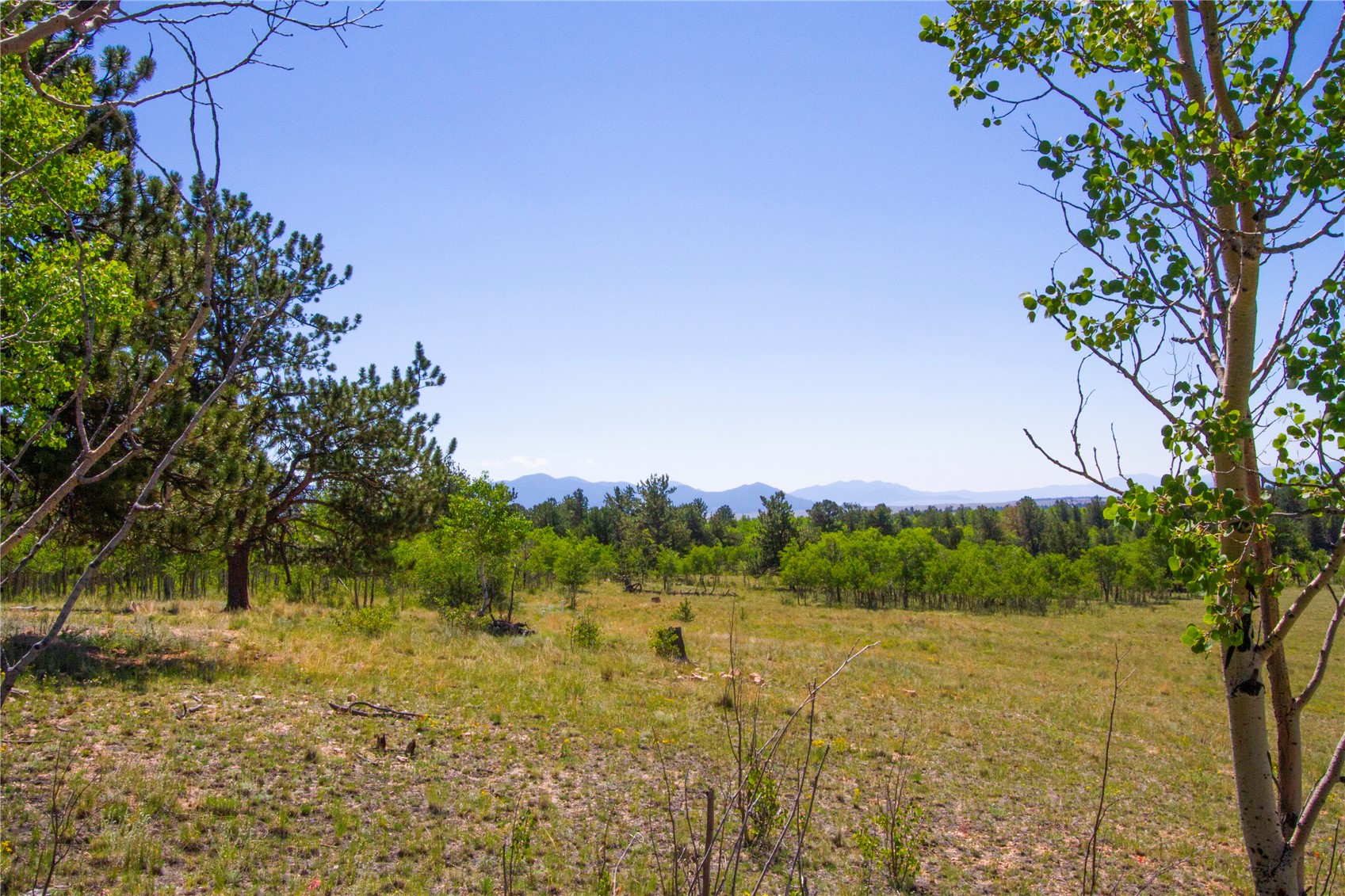 4134 Buffalo Ridge Road Como, CO 80432 - Photo 27 of 41 Gallery Image 27