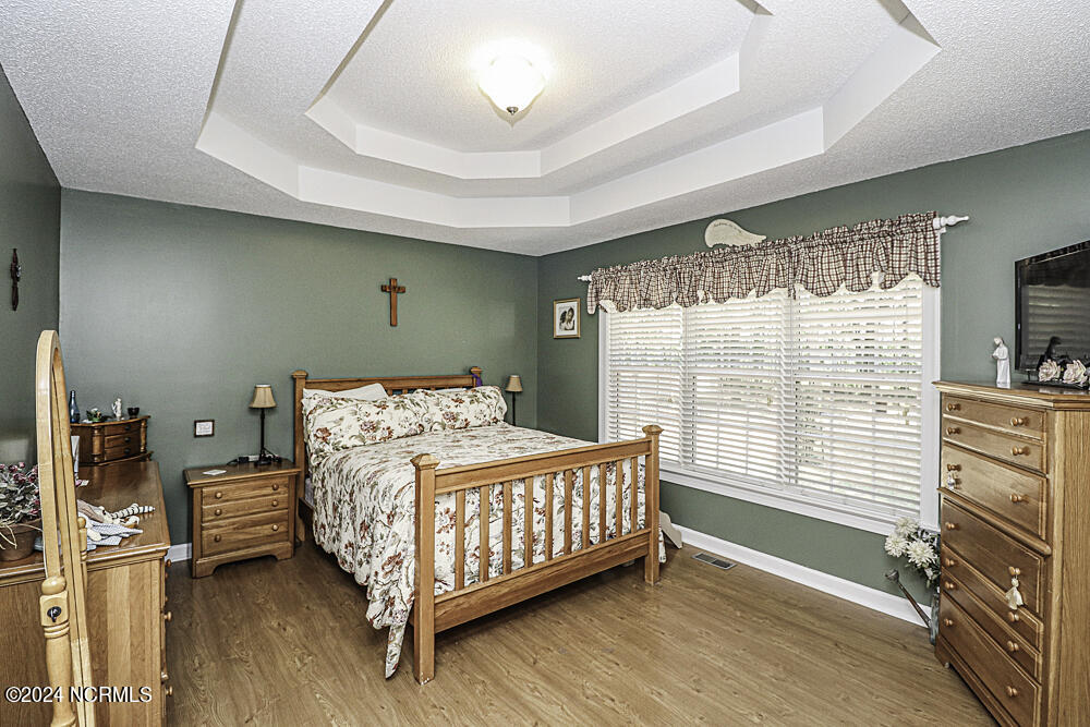 3598 Carriage Farm Road Rocky Mount, NC 27804 - Photo 8 of 19 Accent double trey ceiling and walk in closet!