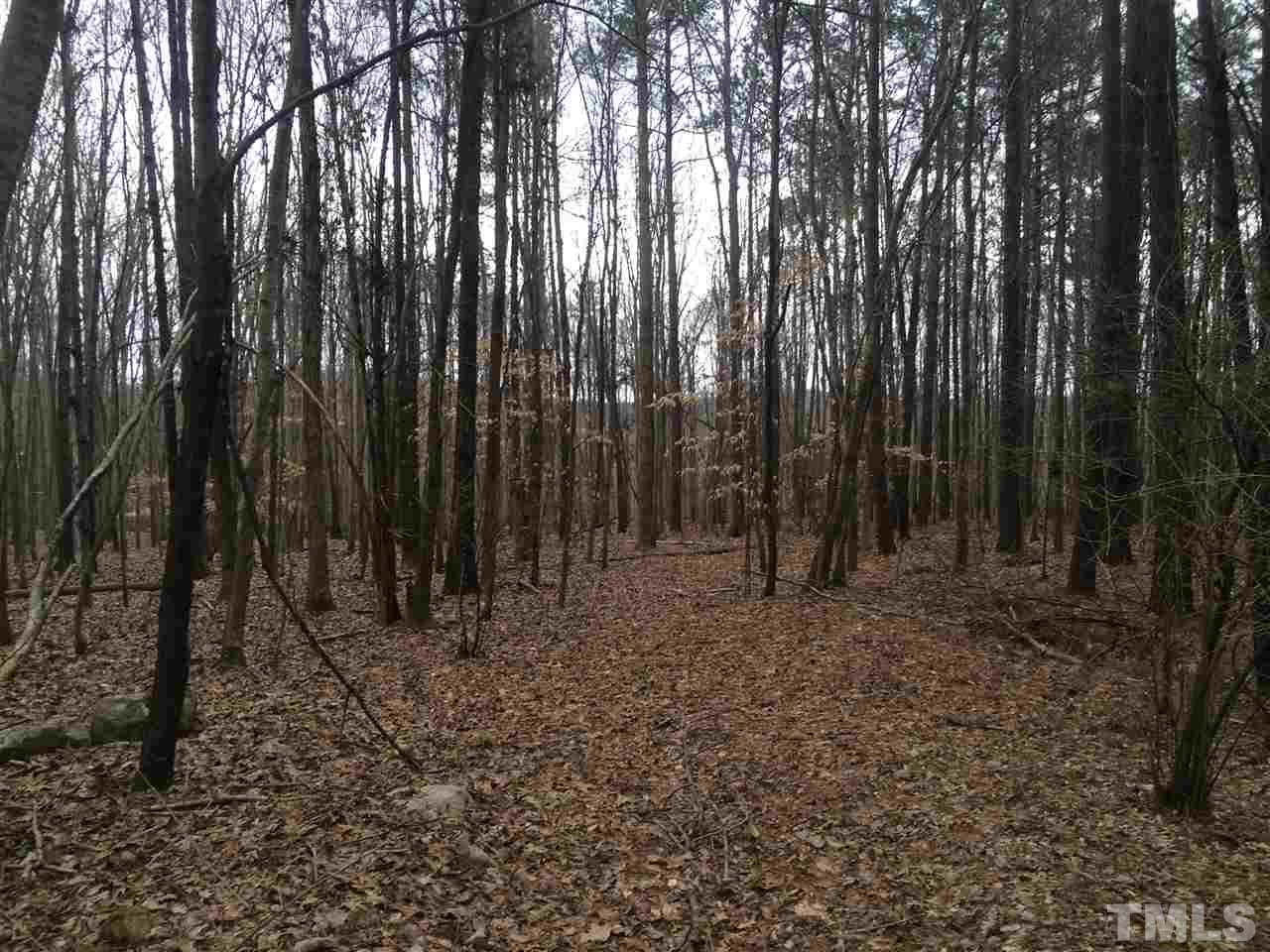 1188 Old Lystra Road Chapel Hill, NC 27517 - Photo 2 of 15 a view of outdoor space with trees