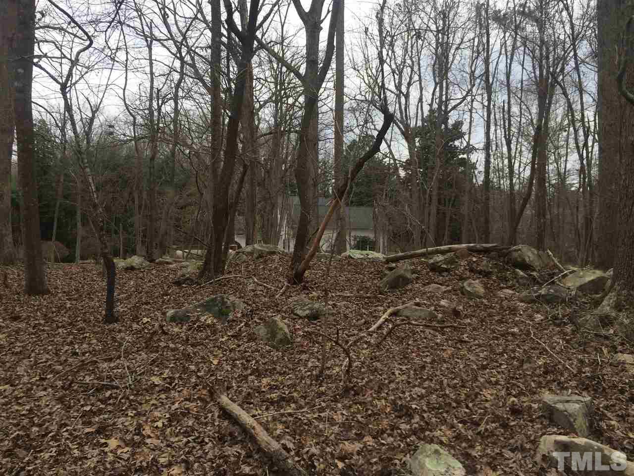 1188 Old Lystra Road Chapel Hill, NC 27517 - Photo 5 of 15 a view of outdoor space