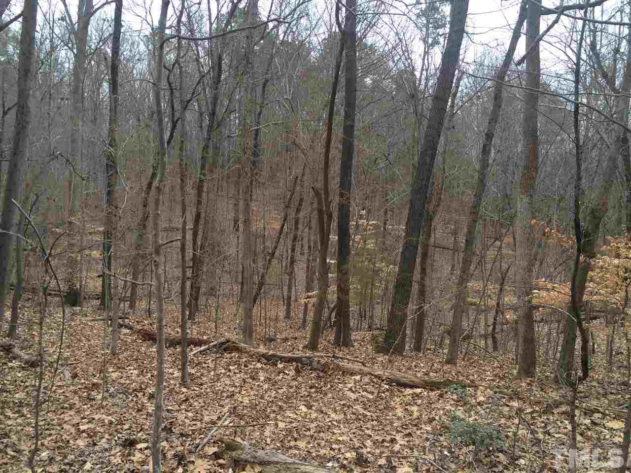 1188 Old Lystra Road Chapel Hill, NC 27517 - Photo 8 of 15 a view of a covered with trees