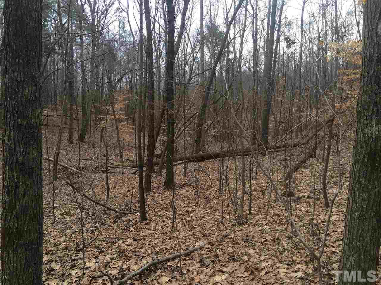 1188 Old Lystra Road Chapel Hill, NC 27517 - Photo 10 of 15 a view of a yard