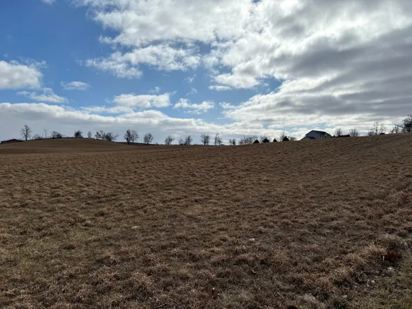 $78,000 | 0 Wildlife Ridge, Manchester, MI 48158