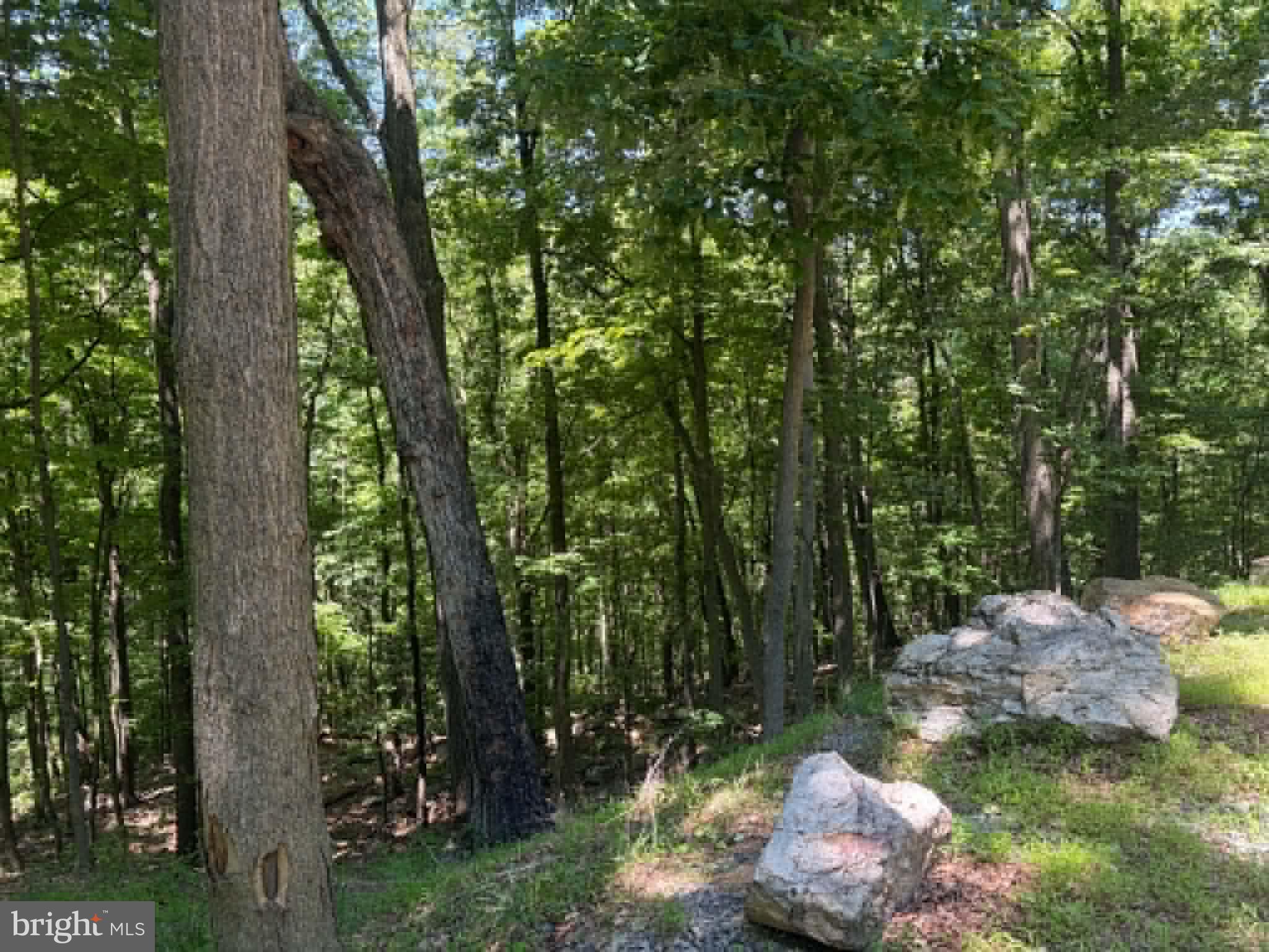 1515 Barnum Road Keyser, WV 26726 - Photo 31 of 64
