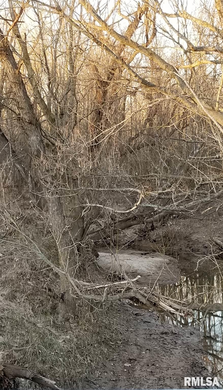 0 Basom Road Salem, IL 62881 - Photo 8 of 9