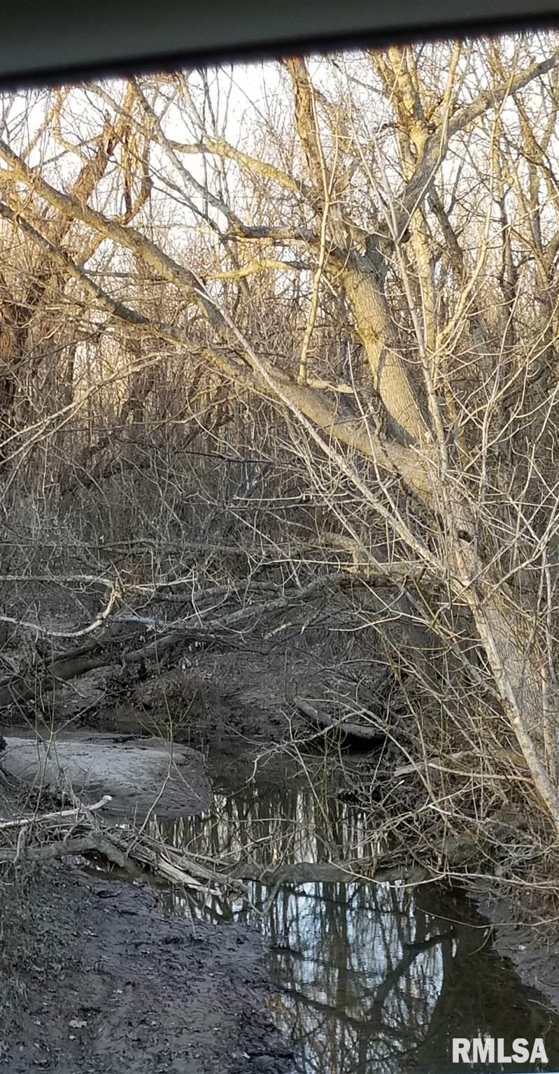 0 Basom Road Salem, IL 62881 - Photo 9 of 9