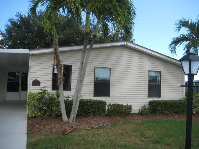 a view of backyard with potted plants and a large tree