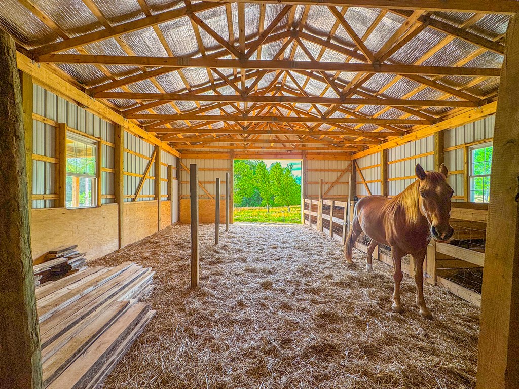 3325 Pack Mountain Road Murphy, NC 28906 - Photo 4 of 69