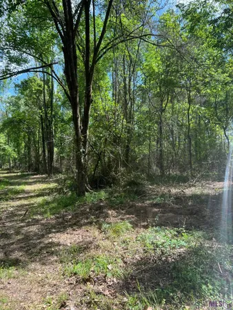 $419,000 | Tbd Lemon B Road, Slaughter, LA 70777