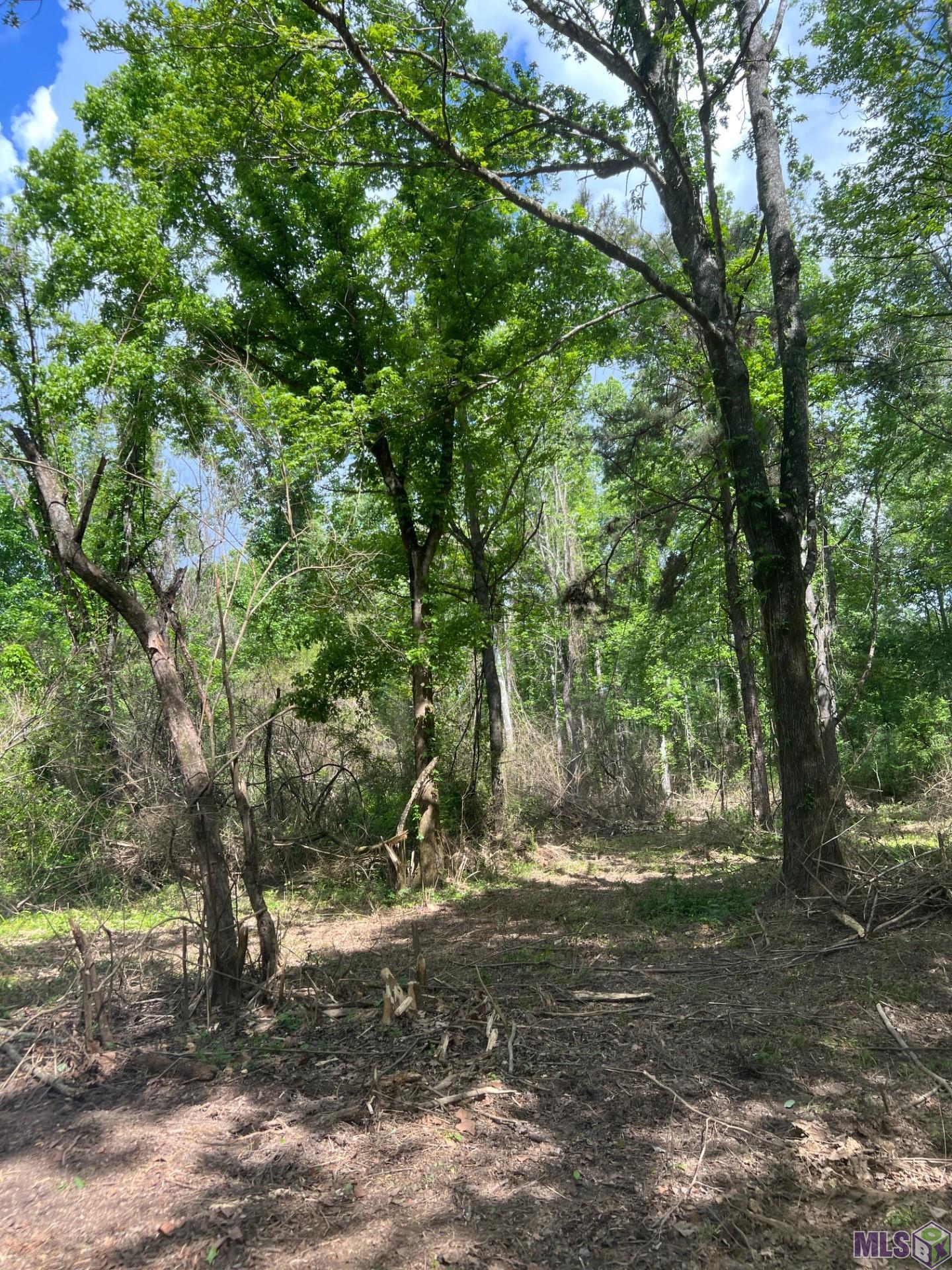 Tbd Lemon B Road Slaughter, LA 70777 - Photo 2 of 9