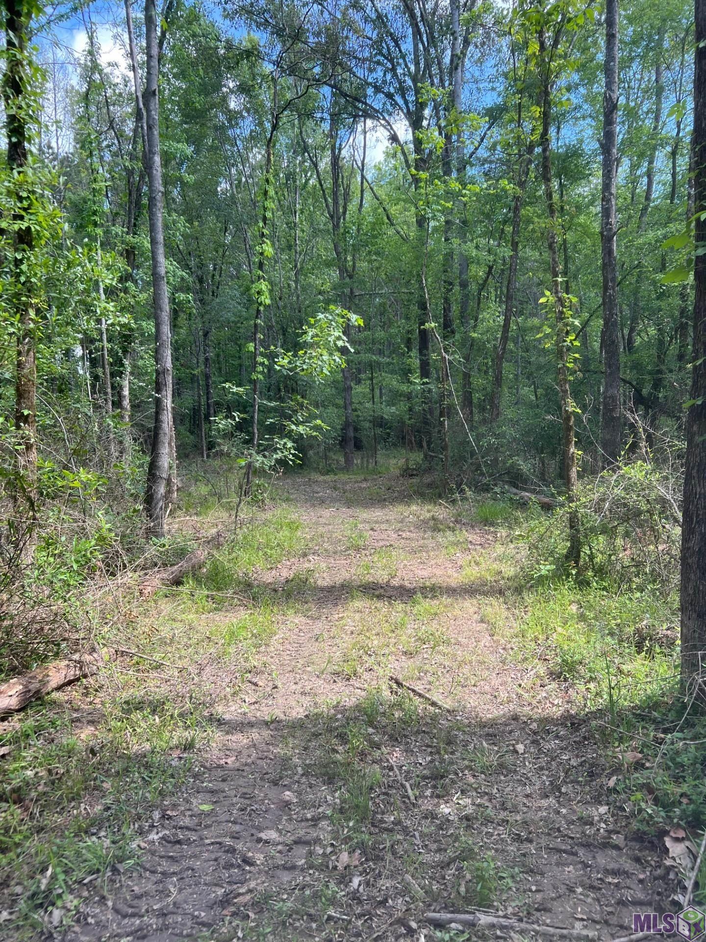 Tbd Lemon B Road Slaughter, LA 70777 - Photo 7 of 9