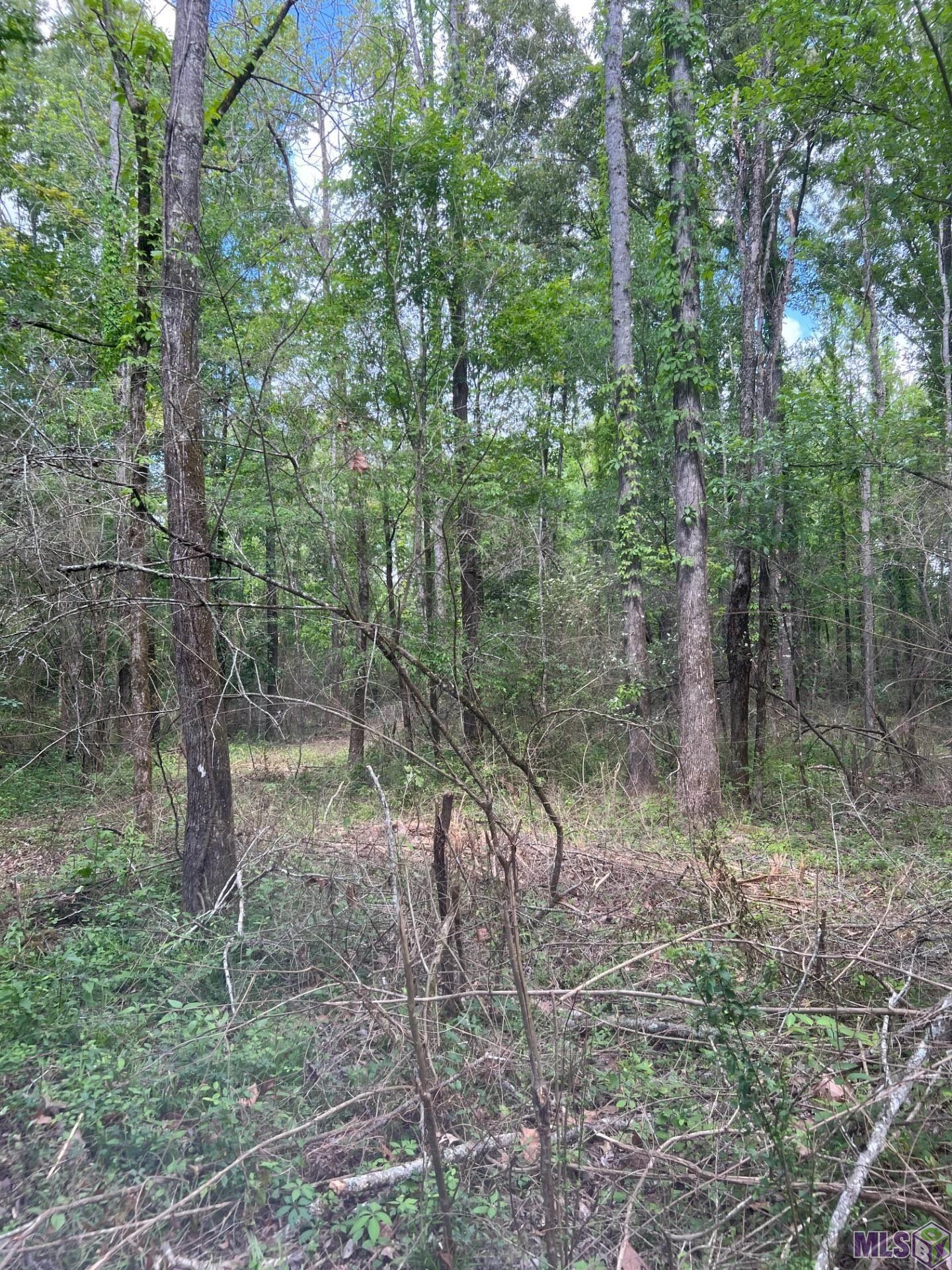 Tbd Lemon B Road Slaughter, LA 70777 - Photo 8 of 9