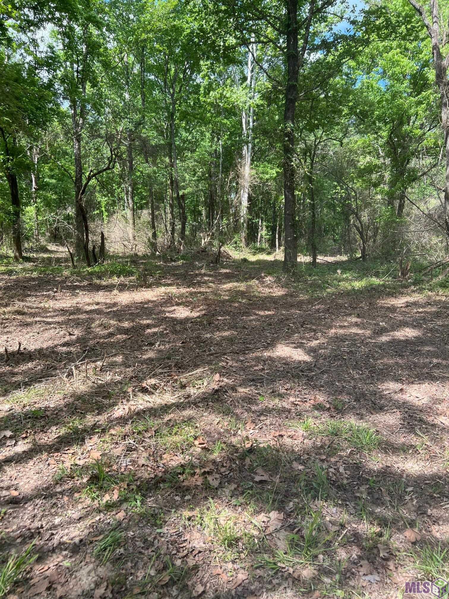 Tbd Lemon B Road Slaughter, LA 70777 - Photo 9 of 9