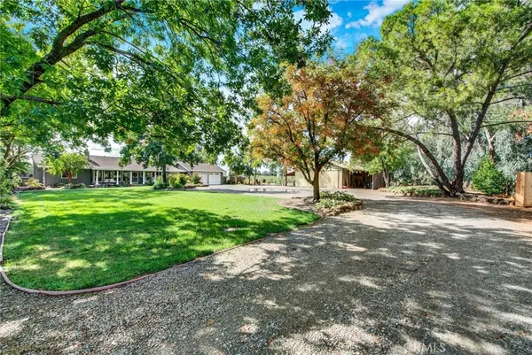 a view of a garden with a fountain