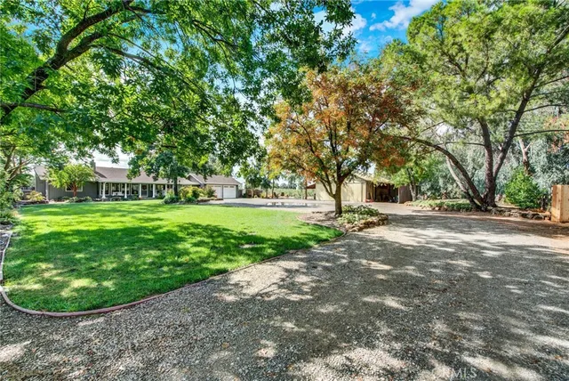 a view of a garden with a fountain