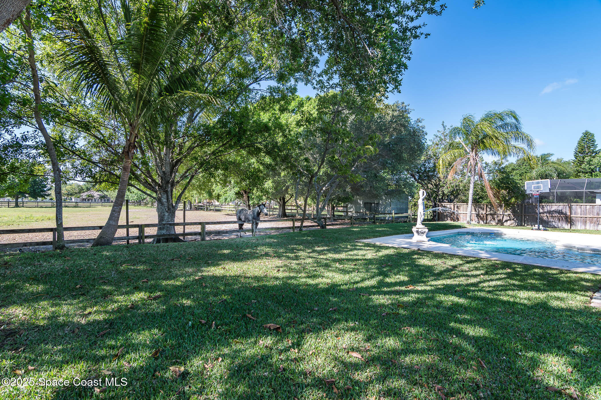 1188 Winding Meadows Road Rockledge, FL 32955 - Photo 28 of 57 Neighbor horse coming to say hello