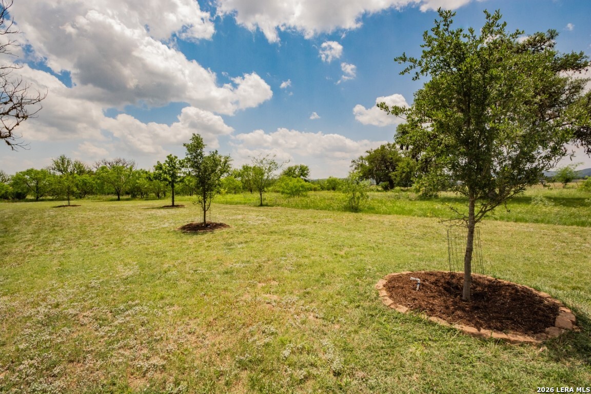 2657 West Sabinal Road Utopia, TX 78884 - Photo 27 of 35