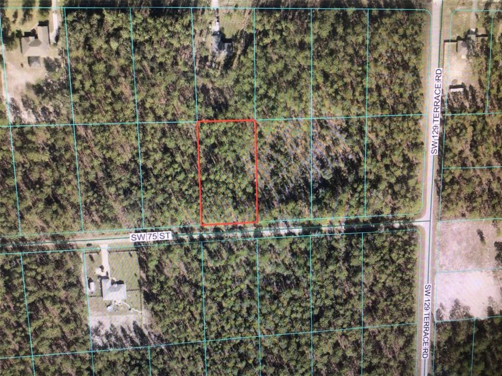 0 Southwest 75th Street Ocala, FL 34480 - Photo 2 of 5