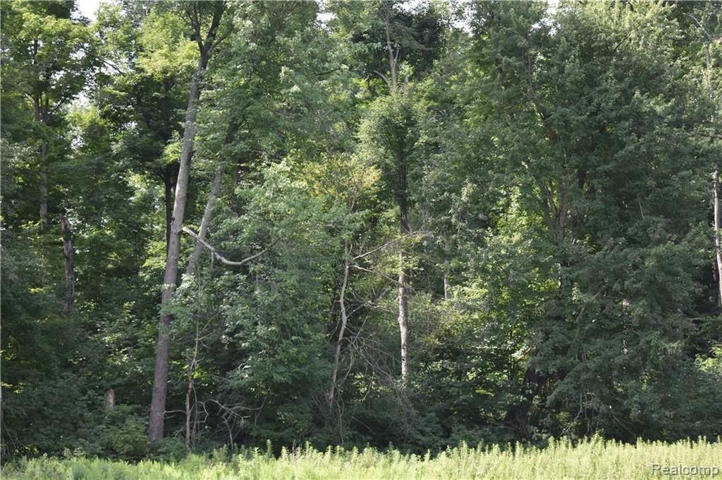 V/l Farnsworth Road Lapeer, MI 48446 - Photo 7 of 12 Gallery Image 7