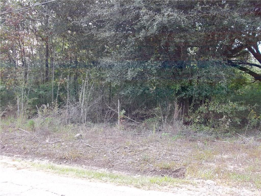 0 Hood Road Hammond, LA 70403 - Photo 2 of 6 Gallery Image 2