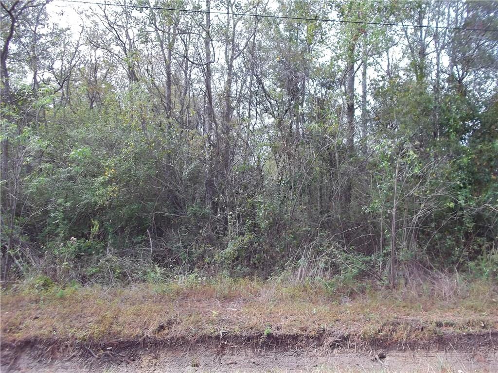 0 Hood Road Hammond, LA 70403 - Photo 4 of 6 Gallery Image 4