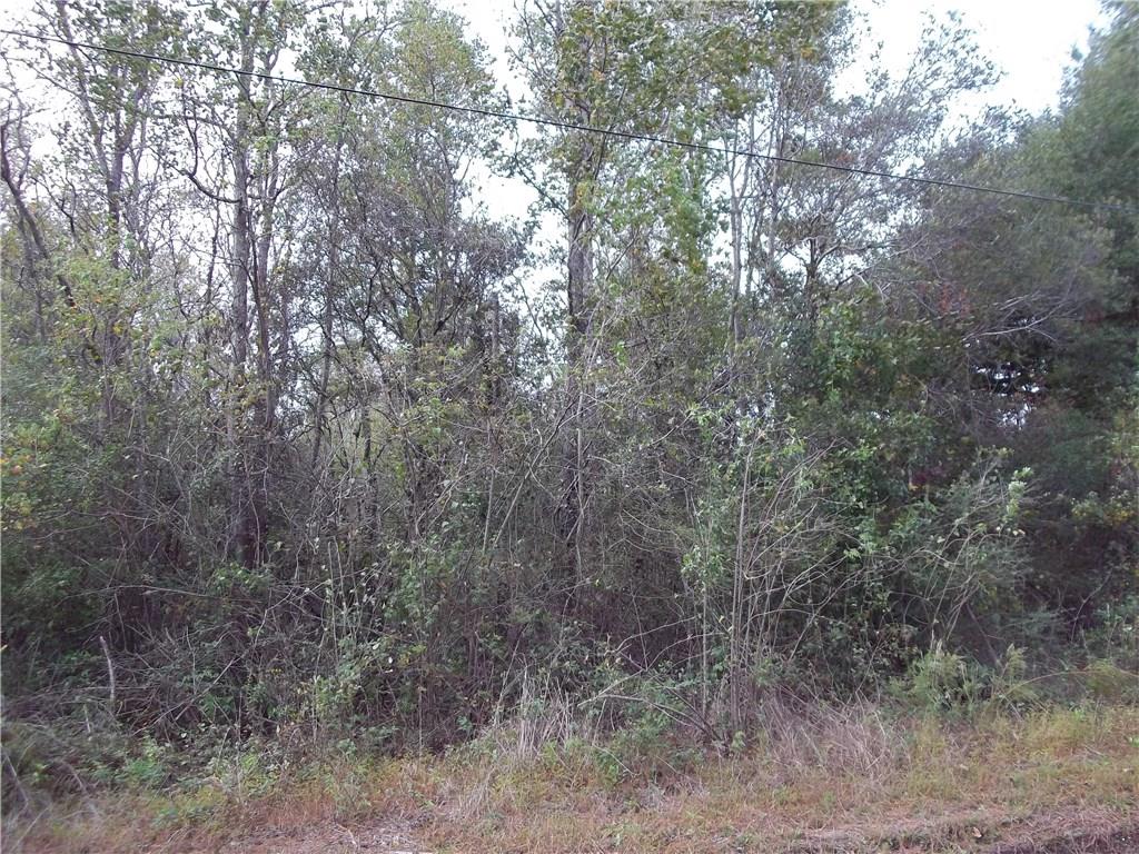 0 Hood Road Hammond, LA 70403 - Photo 6 of 6 Gallery Image 6