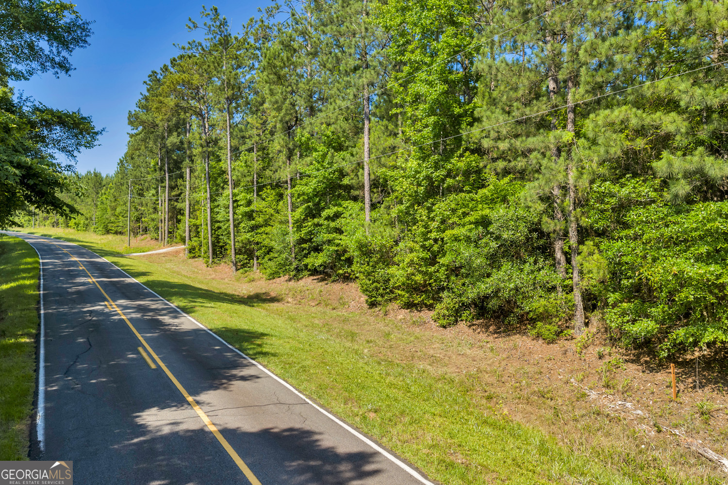651 Branan Road Toomsboro, GA 31090 - Photo 25 of 53