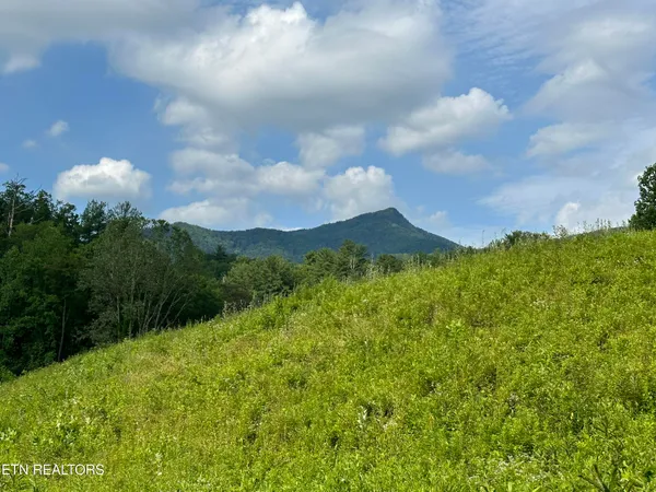 $5,600,000 | 0 Barnes Hollow Road, Cosby, TN 37722