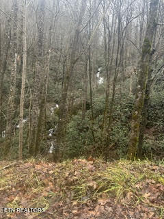 0 Barnes Hollow Road Cosby, TN 37722 - Photo 12 of 59 Photo 11
