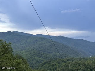 0 Barnes Hollow Road Cosby, TN 37722 - Photo 15 of 59 Photo 19