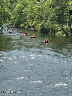 0 Barnes Hollow Road Cosby, TN 37722 - Photo 17 of 59 Photo 23