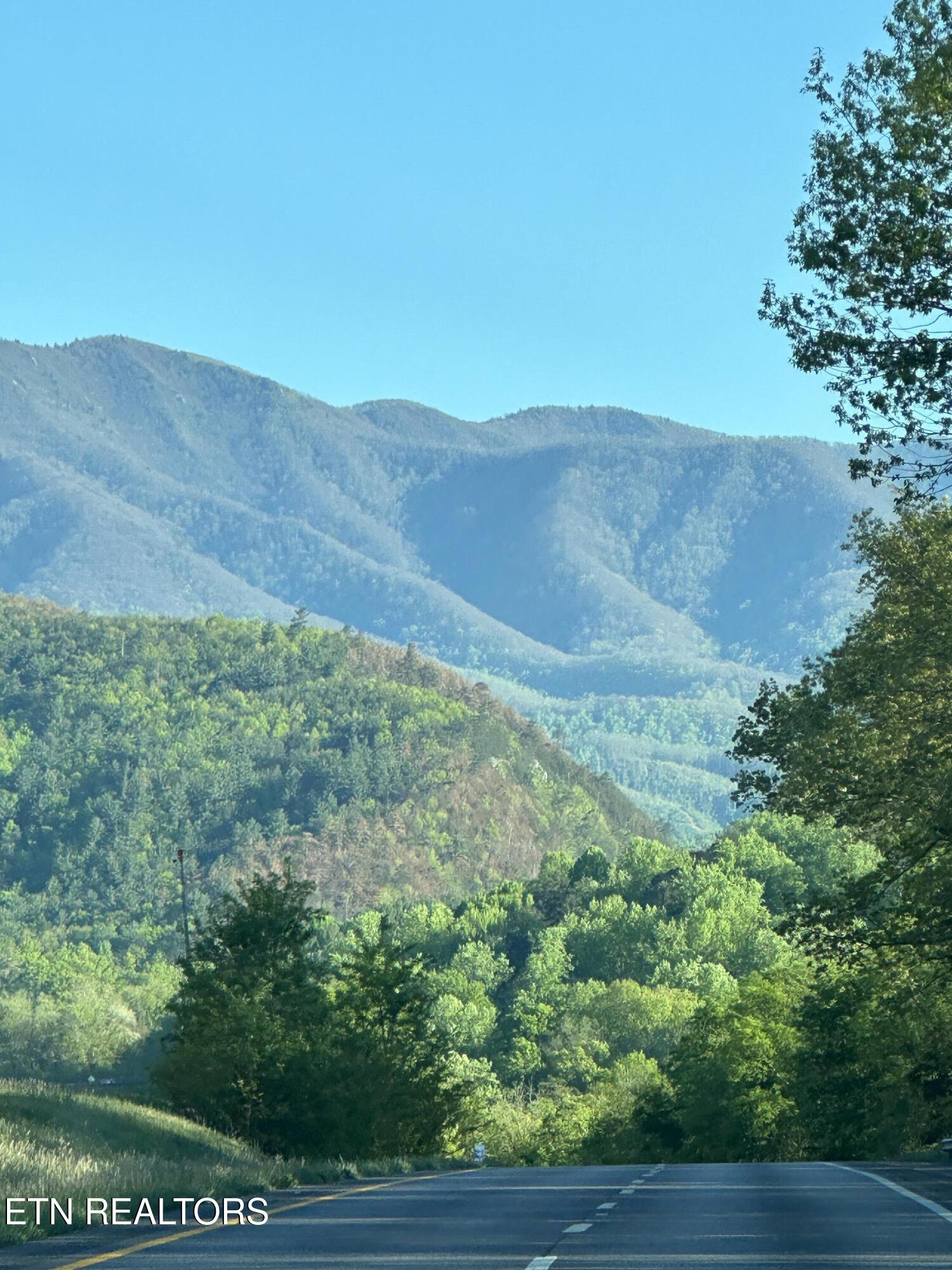 0 Barnes Hollow Road Cosby, TN 37722 - Photo 2 of 59 mtn view