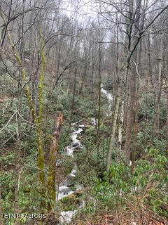 0 Barnes Hollow Road Cosby, TN 37722 - Photo 23 of 59 Photo 30