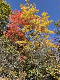 0 Barnes Hollow Road Cosby, TN 37722 - Photo 24 of 59 Photo 31