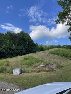 0 Barnes Hollow Road Cosby, TN 37722 - Photo 25 of 59 Photo 34