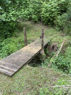 0 Barnes Hollow Road Cosby, TN 37722 - Photo 26 of 59 Photo 35