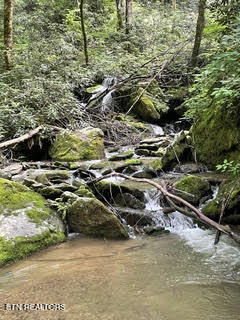 0 Barnes Hollow Road Cosby, TN 37722 - Photo 27 of 59 Photo 36