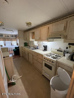 0 Barnes Hollow Road Cosby, TN 37722 - Photo 29 of 59 Photo 38