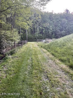 0 Barnes Hollow Road Cosby, TN 37722 - Photo 32 of 59 Photo 41