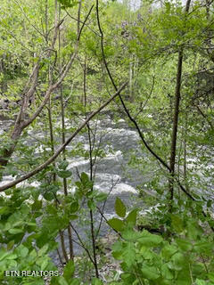 0 Barnes Hollow Road Cosby, TN 37722 - Photo 34 of 59 Photo 43