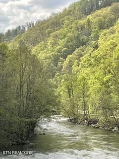 0 Barnes Hollow Road Cosby, TN 37722 - Photo 35 of 59 Photo 46