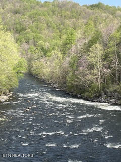 0 Barnes Hollow Road Cosby, TN 37722 - Photo 36 of 59 Photo 47