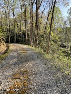 0 Barnes Hollow Road Cosby, TN 37722 - Photo 37 of 59 Photo 48