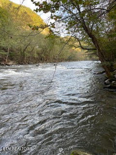 0 Barnes Hollow Road Cosby, TN 37722 - Photo 38 of 59 Photo 51